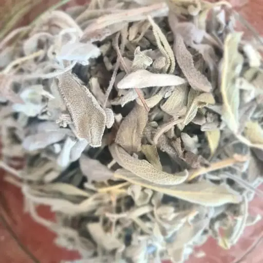 Sauge /10g