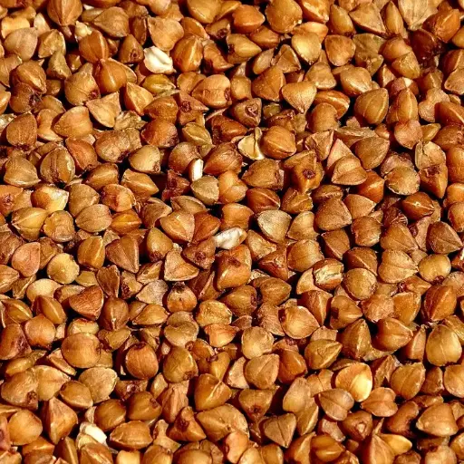 Sarrasin bio en vrac