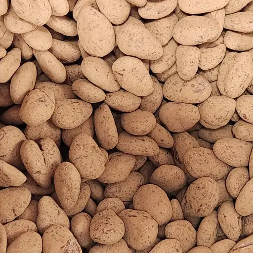 Amandes au chocolat lait et fleur de sel bio/100 g